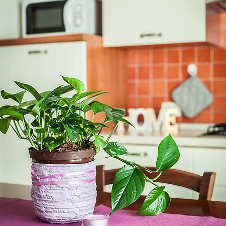 Residenza Aurora Del Mare Rimini