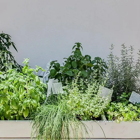 Residenza Aurora Del Mare Apart-hotel