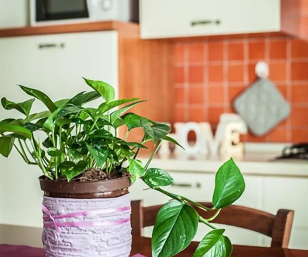 Residenza Aurora Del Mare Римини